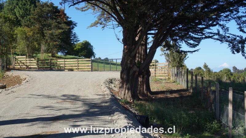 Parcelas Doña Ana, sector Trapen - Luz Propiedades