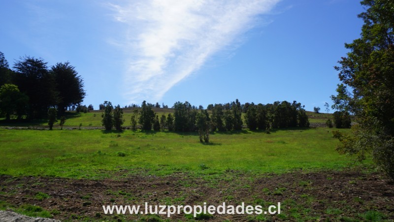 Parcelas Doña Ana, sector Trapen - Luz Propiedades