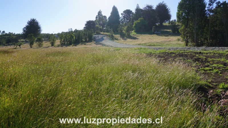 Parcelas Doña Ana, sector Trapen - Luz Propiedades