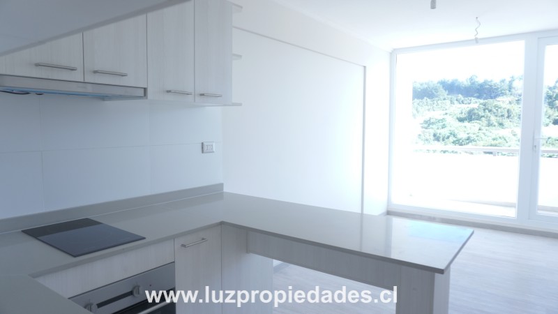 San Javier N°2012, Ed. Alto Pelluco, Dept. 318 - Luz Propiedades