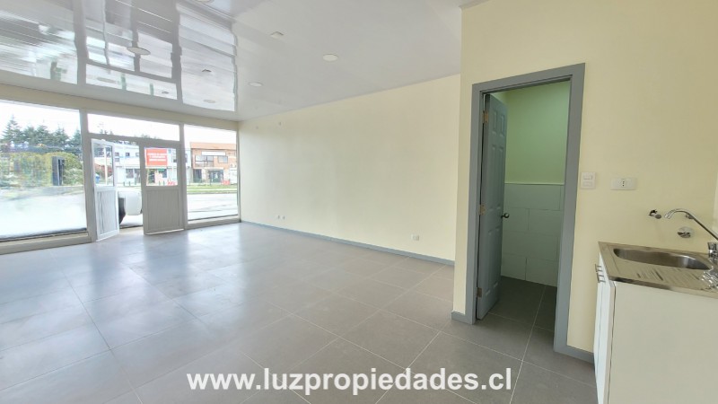 Strip Center Presidente Ibáñez N°374 - Luz Propiedades