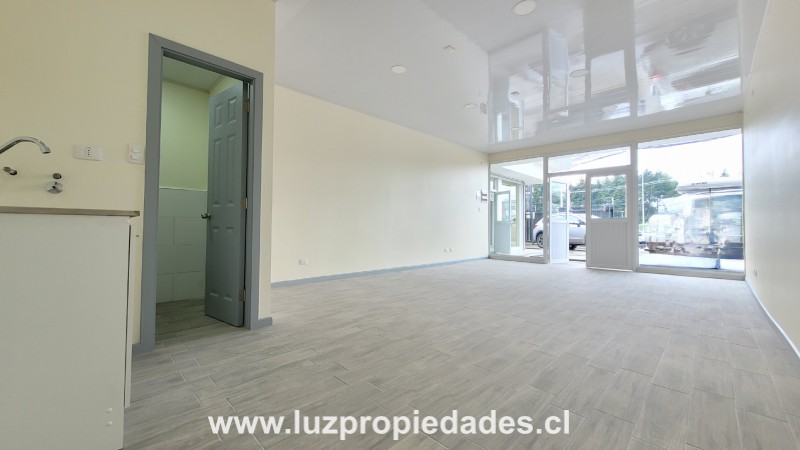 Strip Center Presidente Ibáñez N°374 - Luz Propiedades