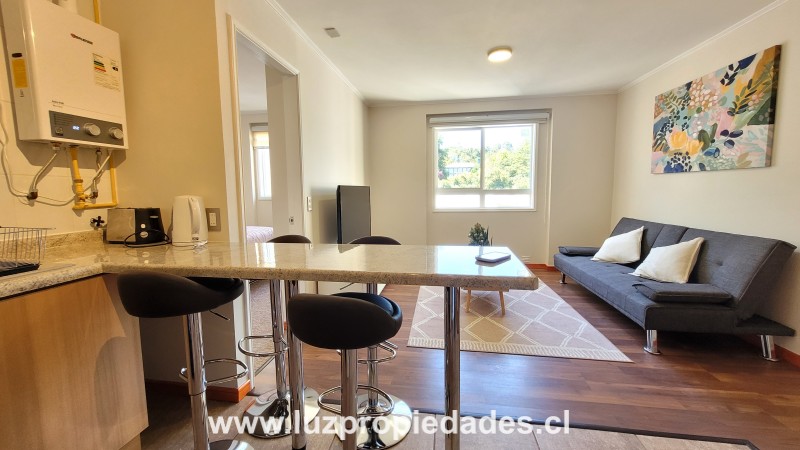 Bellavista N&deg;2163,  T-8, Depto 504, Condominio Plaza Pelluco - Luz Propiedades