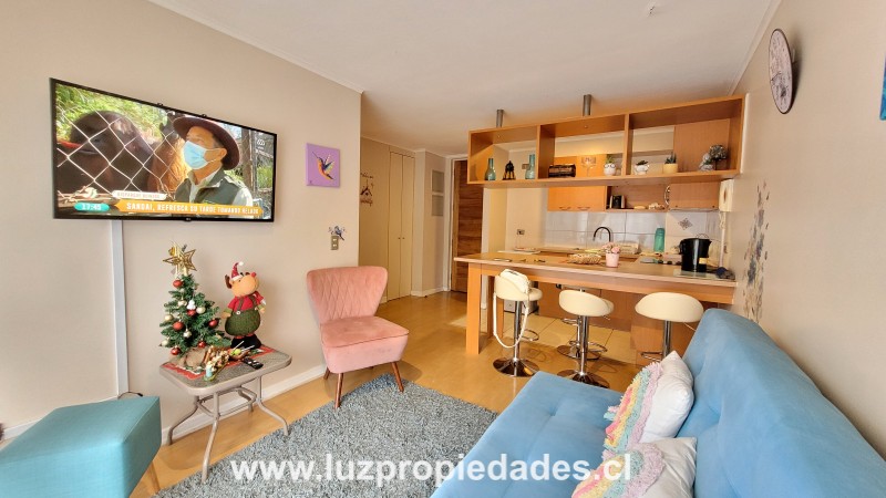 Buin N&deg;356, Depto. 316, Ed. Puerto So&ntilde;ado - Luz Propiedades