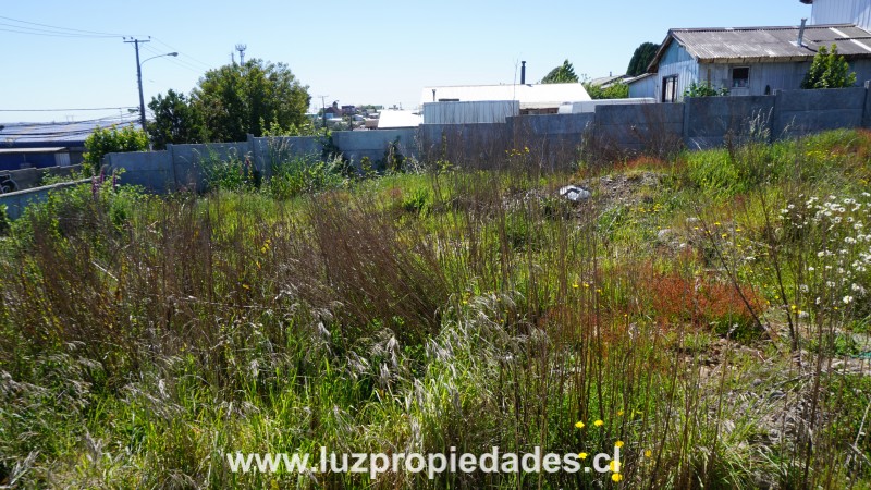 Calle Oberreuter  N° 142 - Luz Propiedades