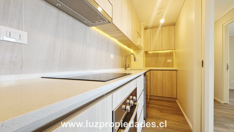 Condominio Vista Maderos - Modelo Tipo 2  - Luz Propiedades