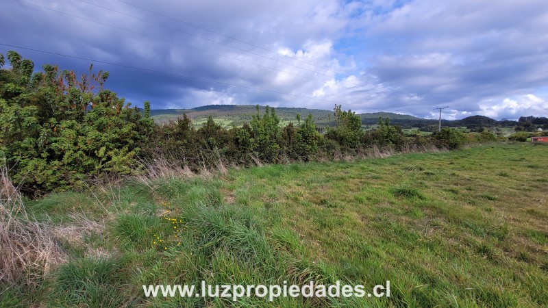 Fundo Lagunitas, Parcela N°2, Sector los Riscos, Km 26 Camino Ensenada - Luz Propiedades