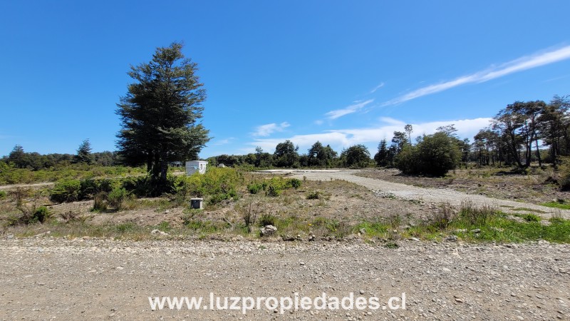 Los C&ouml;igues N&deg;132, Gran Lagunitas - Luz Propiedades