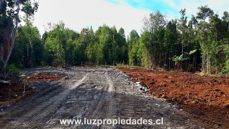 Lote 16, Altos Lauca, Río Chico - Luz Propiedades