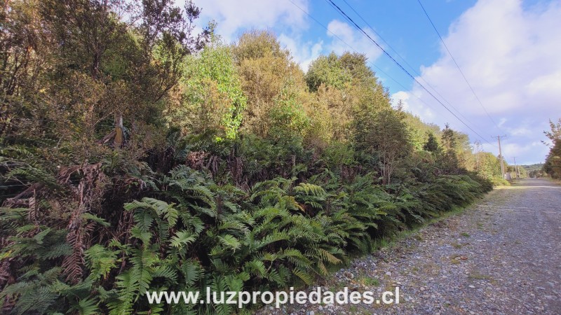 Lote N°26, La Vara - Luz Propiedades