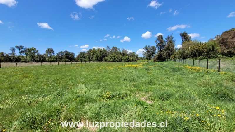 Lote N&deg;33, Sector Paraguay Grande - Luz Propiedades