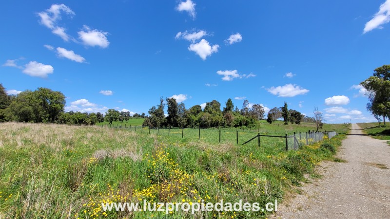 Lote N&deg;33, Sector Paraguay Grande - Luz Propiedades