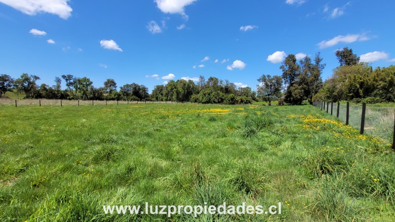 Lote N&deg;33, Sector Paraguay Grande - Luz Propiedades