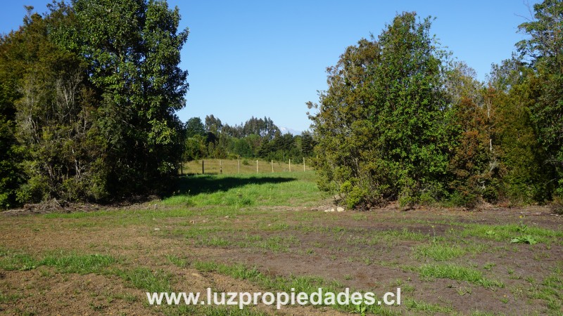 Parcelas Doña Ana, sector Trapen - Luz Propiedades